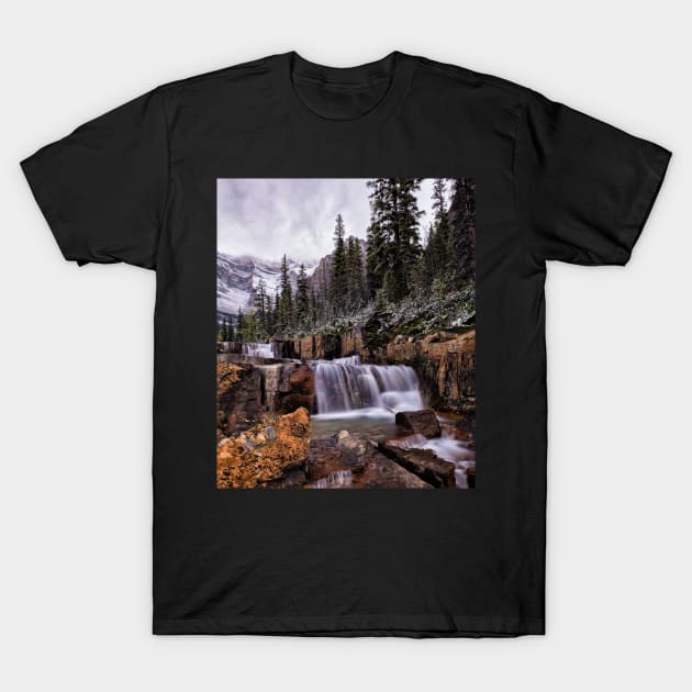 In the Footsteps of Giants T-Shirt by krepsher